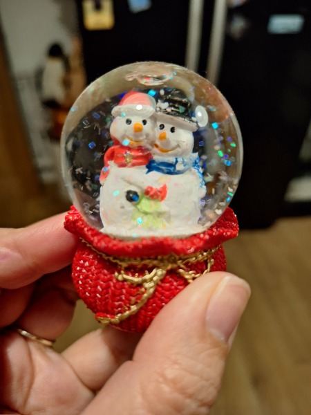 In preparation for Christmas today I will……