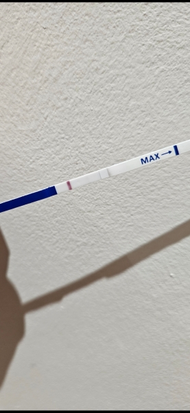 Early pregnancy test