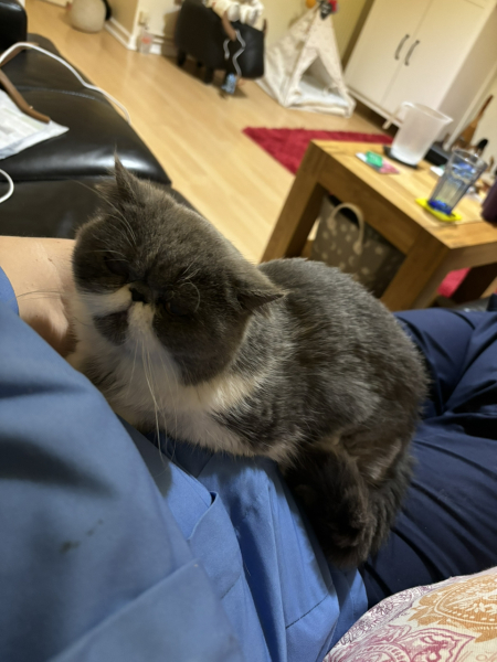 Potential new inmate at Toddler Towers.