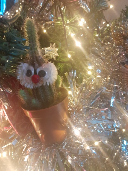 How do I remove sinister Santa outfit from a cactus?