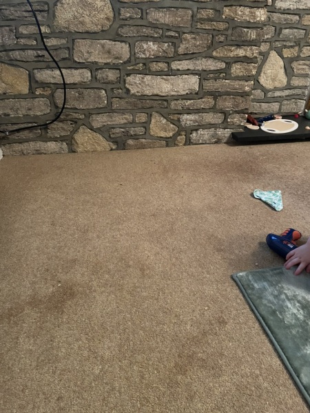 Old fashioned carpet scrub