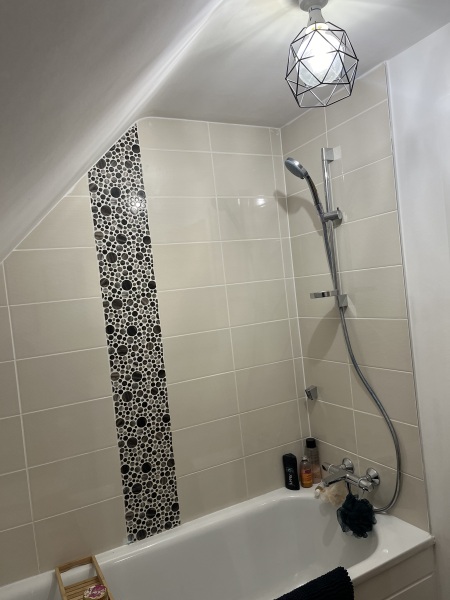 Which shower screen/rail with sloped ceiling?