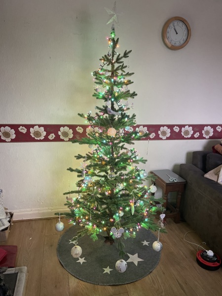 Can I see your Christmas tree?