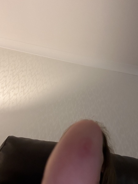 Any ideas what this could be?
