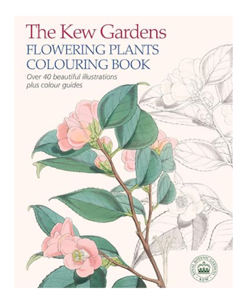 If you are a woman between 50-60 please give me feedback on these gifts!