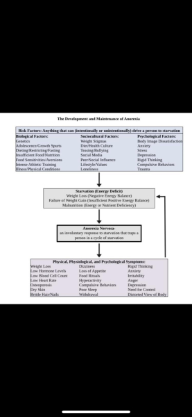Support thread 10 for parents of young people with an eating disorder