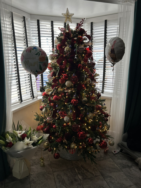 Can I see your Christmas tree?