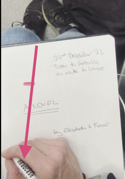 Is Liz Fraser helping all women or just herself?