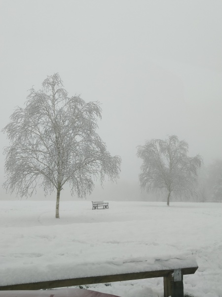 Snow!!!!!