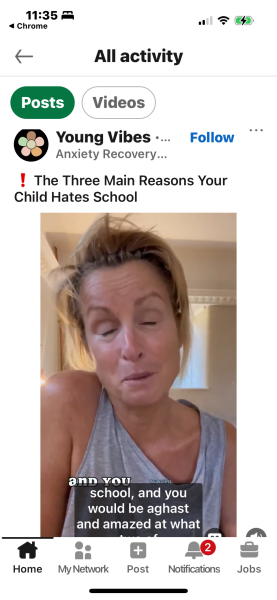 Peaky Parents / Kactus Kids - formerly known as Your Child Freedom Programme (YCFF) and other previous names - Child anxiety programme