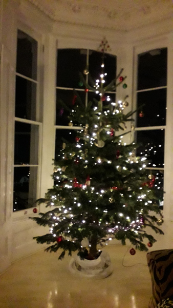 The ultimate SHOW US YOUR TREE megathread!