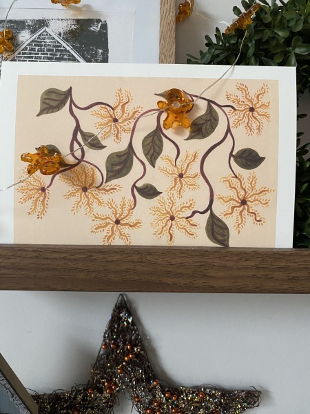 Toasties enjoying sale buys and waiting for Santa