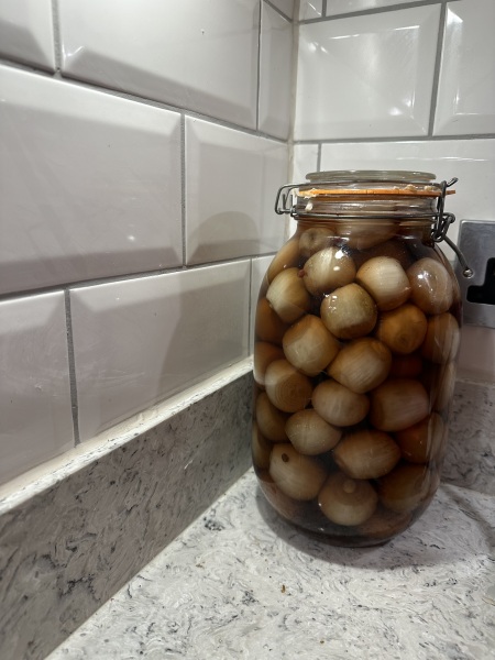 Nigel Slater Christmas Chronicles Read Along 2023 - Part Two