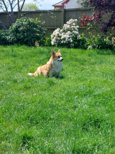 Our girl has cancer