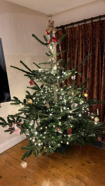 The ultimate SHOW US YOUR TREE megathread!