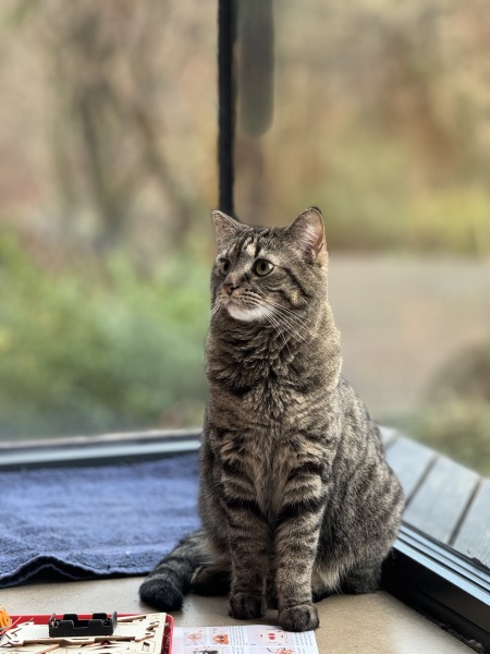 Stage IV cancer? Incurable? Roll up, roll up, this thread is for you!