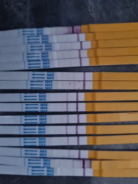 LH tests.  Have I ovulated?