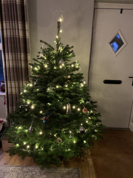 Can I see your Christmas tree?