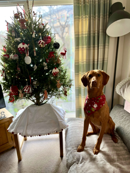 What cute thing has your dog done today?