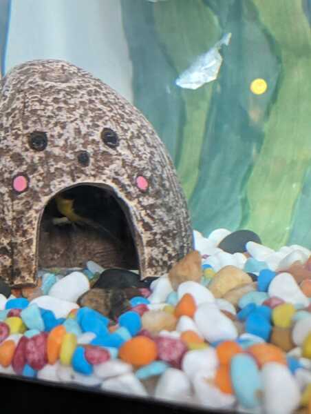 Why won't he come out?