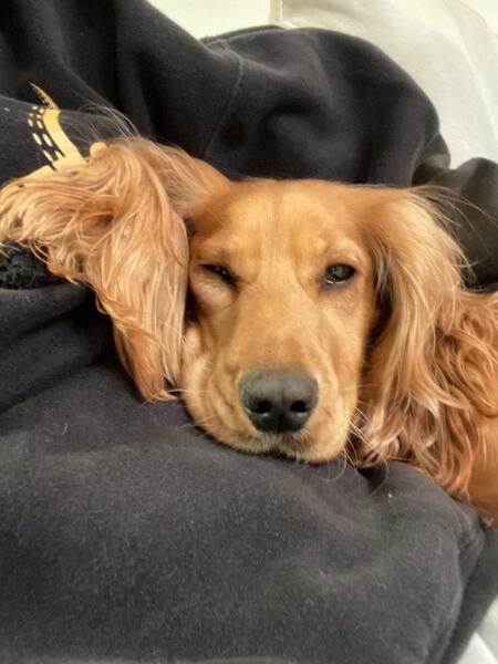 Thread 49 - Covid GCSE Cohort - The nights are drawing in...