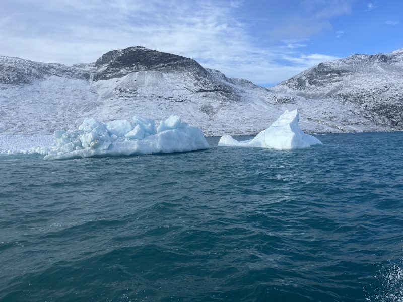 I REALLY want to go to Antarctica. Has anyone here been?