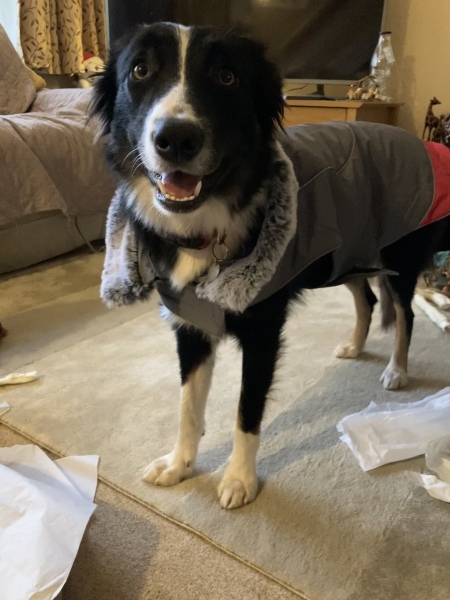 Cancer Support Thread 92 - Christmas Happy Hour at the Patience Inn 7pm tonight 🎄