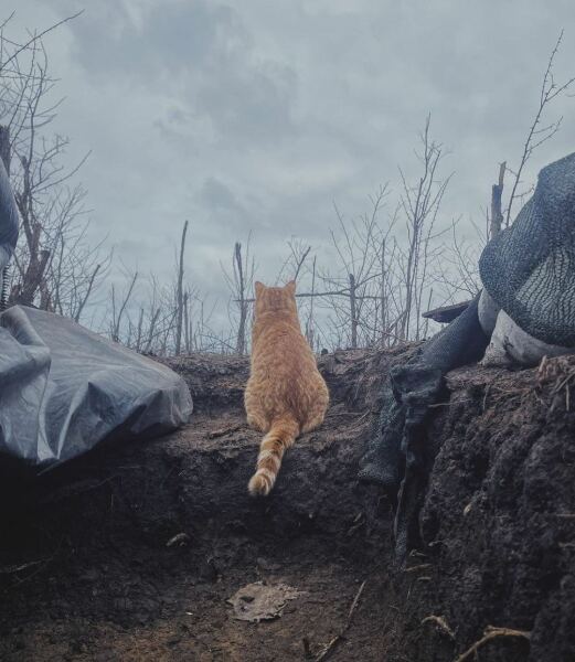 Ukraine Invasion: Part 46