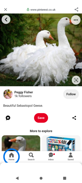 Royal Style: Never knowingly under-jewelled, let's be like Daisy and shine!