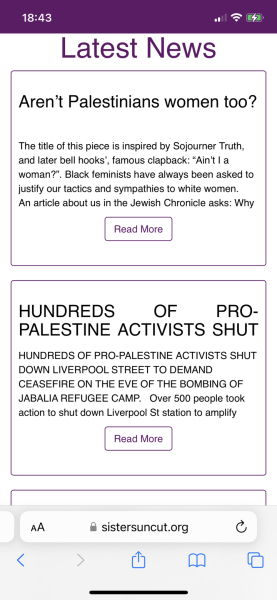 Feminism, rape, and Israel. Content warning.