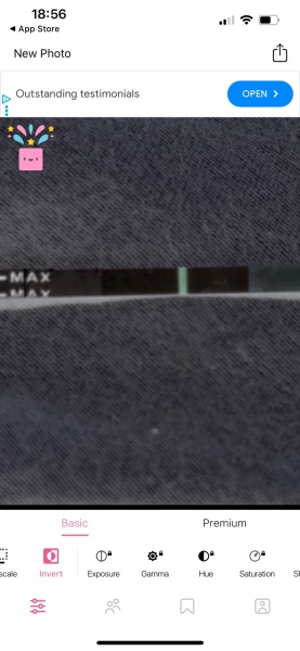 15dpo no af neg pg tests