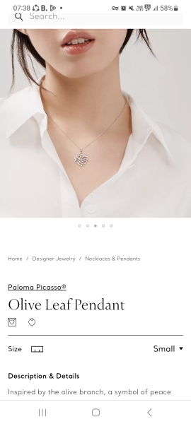 Which Tiffany necklace?