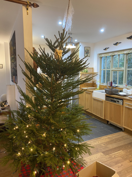 Low Carb Bootcamp challenge - lose half a stone before Christmas