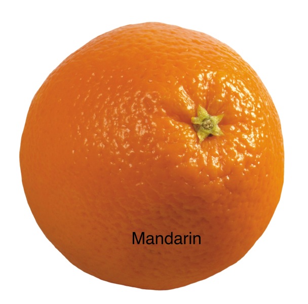 I have solved the small orange problem