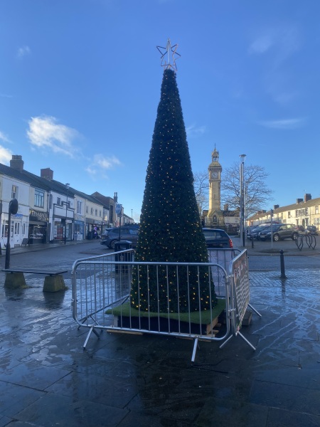 Is this the most rubbish tree you’ve seen in a town?