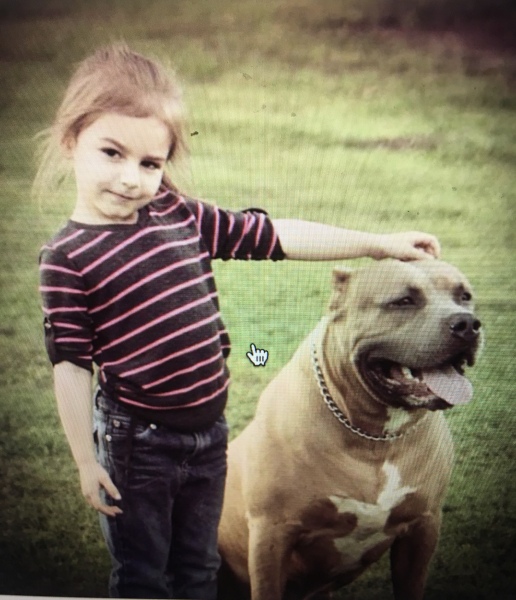 Saw an XL Bully puppy today
