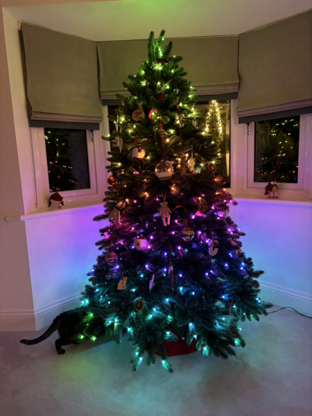Can I see your Christmas tree?