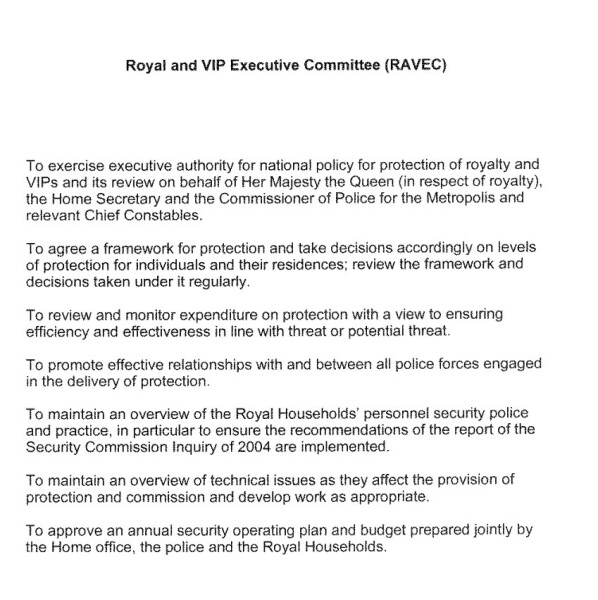 RAVEC - Prince Harry