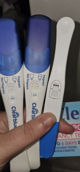 Clear blue test. Evap line or positive