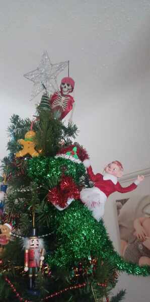 Post a pic of your most random tree decoration...