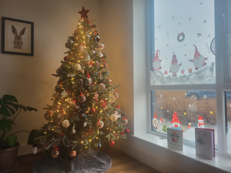 Can I see your Christmas tree?