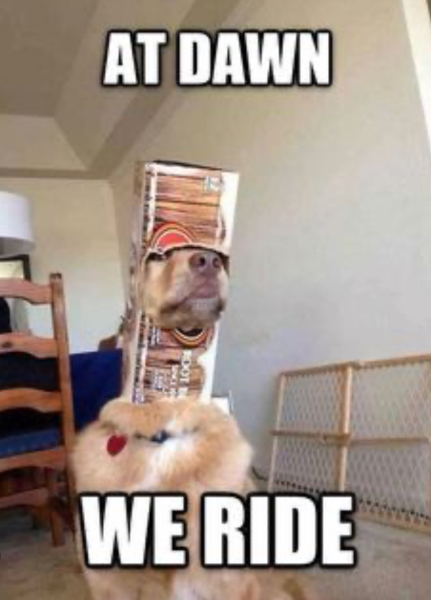 Everyone scarper, the rozzers are coming