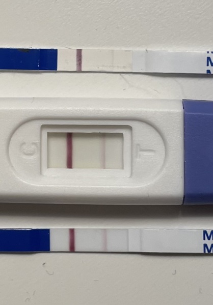 Pregnancy test line not getting darker - 17DPO - with pic