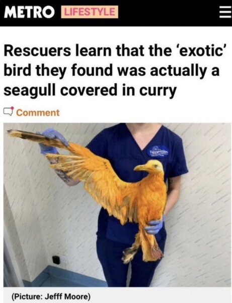 Thread 11 - TalkLair: “The candle flame gutters. Its little pool of light trembles.”