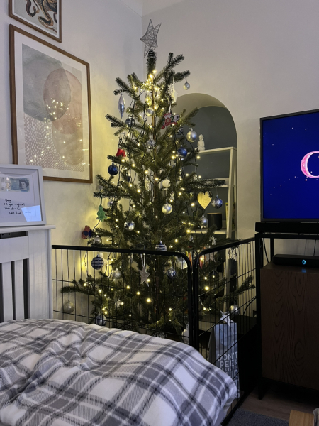 Puppy Survival Thread - for old and new pups heading into winter