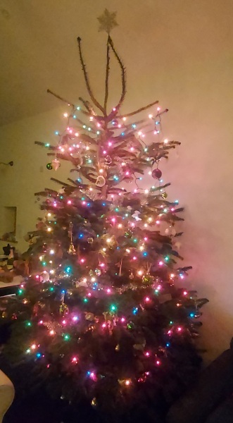 Coloured Christmas tree lights