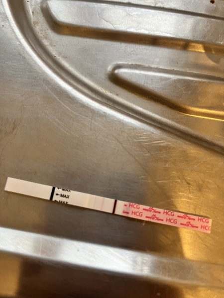 TTC after early miscarriage
