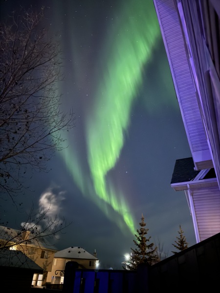 Anyone seen the Aurora tonight?
