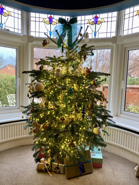 The ultimate SHOW US YOUR TREE megathread!