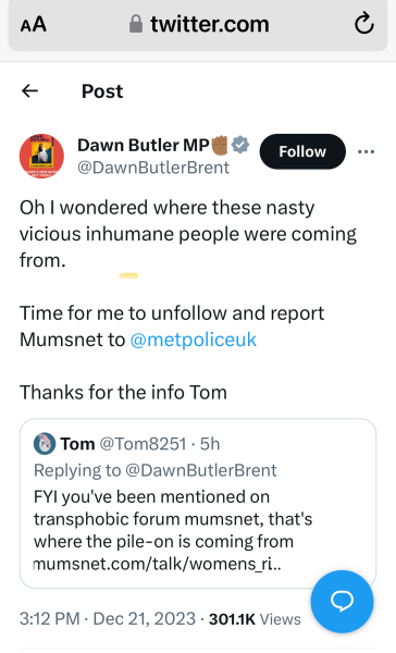 Aibu to point out that 'Mumsnet' is currently trending on Twitter/X because a labour MP has (rather comically) reported it to the police?